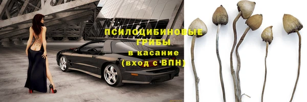 экстази Богданович