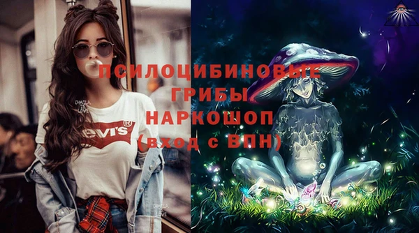 трава Богородицк