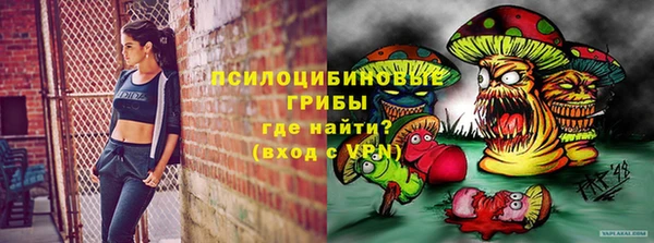 герыч Бронницы
