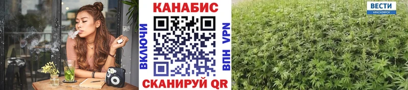 Купить закладки  Тотьма  Марихуана LSD WEED 